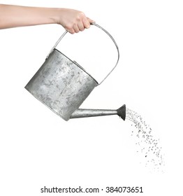 Female Hand Pouring Water From Metal Watering Can, Isolated On White