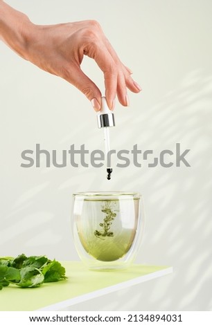 Female hand pours liquid chlorophyll into a glass of water with a dropper. Liquid chlorophyl and fresh herbs on the green table. Green background, natural sunlight, vertical. Superfood and healthy.