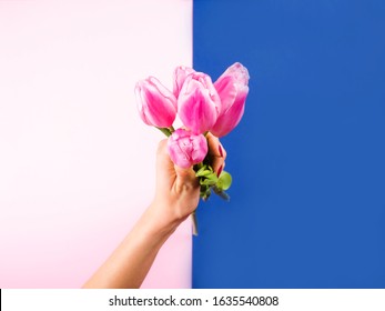 Female hand with red manicure holding beautiful tulips on pink and classic blue color of 2020 split duotone trendy backdrop. - Shutterstock ID 1635540808