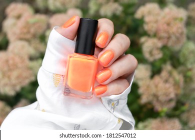 Female hand and short nails   orange neon manicure holds bottle nail polish the flower background