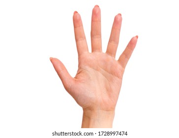 Female Hand Showing 5 Fingers Gesture, Isolated On White Background. Beautiful Hand Of Woman With Copy Space. Hand Doing Gesture Of Number Five. Series Of Photos Count From 1 To 5.