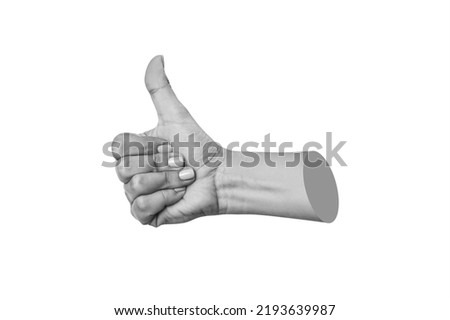 Female hand showing the thumb up gesture isolated on a white background. Positive hand sign. Finger up. 3d trendy collage in magazine style. Contemporary art. Modern design