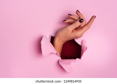 Female hand through torn pink paper background. Geasture concept.