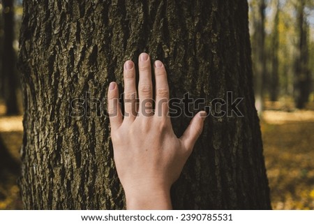 Female hand touches an old tree in an autumn forest. Love nature. Earth day and Environmental care.