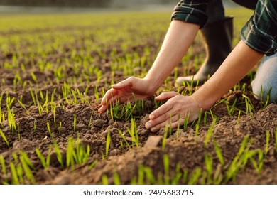 Female hand touching green leaves of young wheat in the field close-up. Woman agronomist examining plant sprout. Concept of natural farming, agriculture. - Powered by Shutterstock