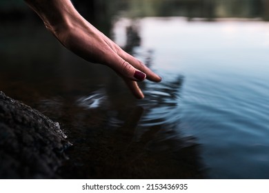 Female Hand Is Touching The Water.