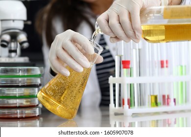 Female Hand In White Protective Gloves Pours Beer From Bottle In Test Tube Closeup. Food Test Concept