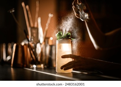 Female hands of bartender spraying cocktail decorated with leaves in glass - Powered by Shutterstock