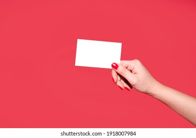 Female Hands With Beautiful Manicure Hold A Discount Card, Business Card, Mockup Of A Blank White Sheet Of Paper On A Red Background With Copy Space. Template For Design. Layout. Copy Space For Text