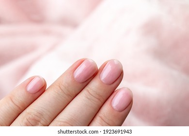 Female hands with beautiful manicure - pink nude nails on pale pink background, closeup with copy space. Selective focus