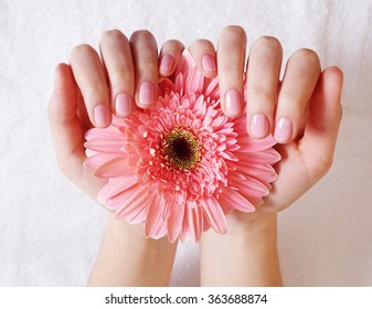 female hands in beauty salon with flower - Powered by Shutterstock