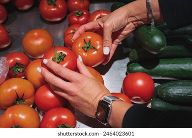 Female hands choose tomatoes in a store.  - Powered by Shutterstock