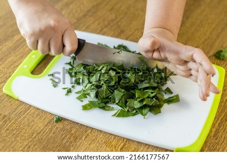 Female hands chopping ora-pro-nobis on cutting board. Pereskia aculeata is a popular vegetable in parts of Brazil Imagine de stoc © 