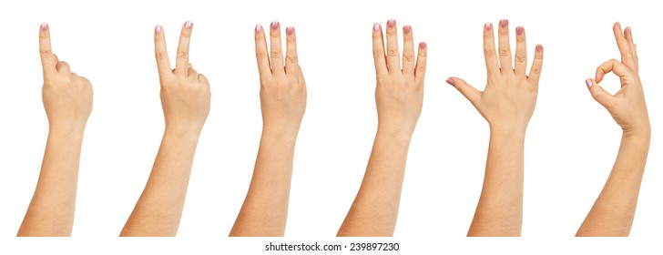 Set Young Woman Hand Isolated On Stock Photo (Edit Now) 1279669492