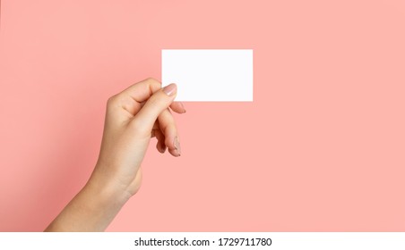 Female hands with cutaway, blank menu, discount card, business card on color pink beauty background with copy space. Template for design Mockup