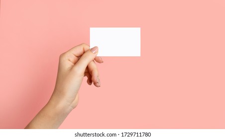 Female Hands With Cutaway, Blank Menu, Discount Card, Business Card On Color Pink Beauty Background With Copy Space. Template For Design Mockup