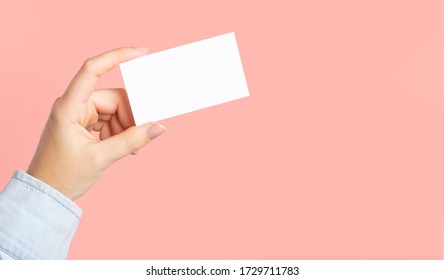 Female Hands With Cutaway, Blank Menu, Discount Card, Business Card On Color Pink Beauty Background. Template For Design. Branding Mockup Template. Mockup