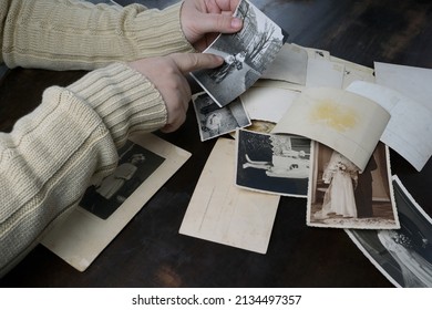 Female Hands Fingering Old Photos, Vintage Monochrome Photographs 1950, Concept Of Genealogy, Memory Of Ancestors, Family Tree, Nostalgia, Childhood, Remembering