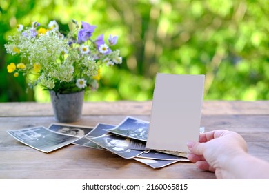 female hands fingering set vintage photos with empty blank, photographs on table, bouquet of wild flowers, concept of genealogy, memory of ancestors, family tree, nostalgia, remembering