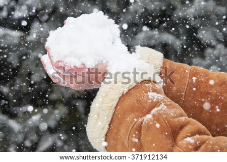 Female hands full of snow, winter season concept. Fir tree background.