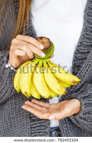 female hands in a gray knitted cardigan holding a small bananas on a branch
