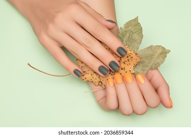 Female hands with green and yellow autumn nail design. Female hands hold dry yellow autumn leaves. Woman hands on pale green background