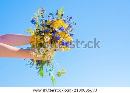 female hands hold a bouquet of wild flowers against the sky on a sunny summer day