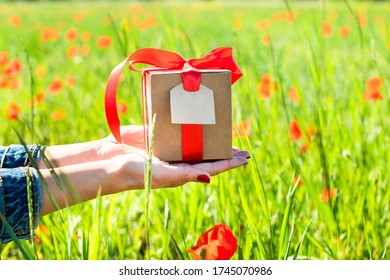 female hands hold a gift in a craft box, with a red ribbon and a tag. Red poppy in the summer in the field. Close-up of blooming flowers. beautiful morning nature. holiday concept. natural gifts. - Powered by Shutterstock