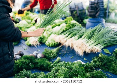female hands hold a green bunch of onions against the background of greenery of the organic bazaar. selection of fresh herbs. shopping at the bazaar. healthy lifestyle. 