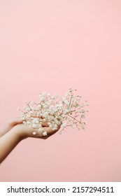 Female hands hold a gypsophila flower on a pink pastel background. Minimalistic composition of tenderness for the design of congratulations on March 8 with copyspace. - Shutterstock ID 2157294511