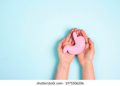 Female hands hold human stomach model on blue background. Treatment of stomach diseases. World Digestive Health Day. Copy space. - Shutterstock ID 1975506206
