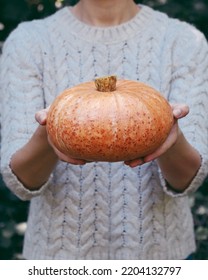 Female Hands Holding Beautiful Freshly Picked Organic Orange Pumpkin Outdoors, Close Up. Thanksgiving Or Halloween Holiday Preparations. Autumn Seasonal Healthy Homegrown Food.