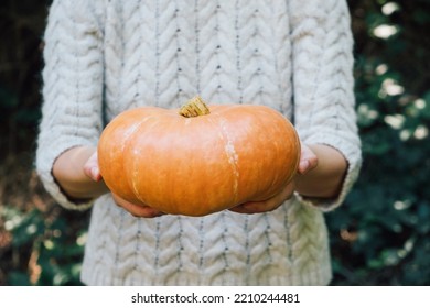 Female Hands Holding Beautiful Freshly Picked Organic Orange Pumpkin Outdoors, Close Up. Thanksgiving Or Halloween Holiday Preparations. Autumn Seasonal Healthy Homegrown Food.