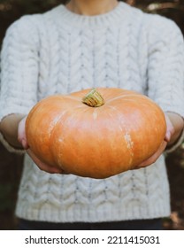 Female Hands Holding Beautiful Freshly Picked Organic Orange Pumpkin Outdoors, Close Up. Thanksgiving Or Halloween Holiday Preparations. Autumn Seasonal Healthy Homegrown Food.