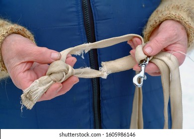 Female Hands Holding Broken Dog Leash, Outdoor Close-up