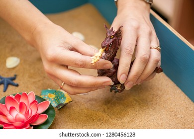 Female Hands Holding The Figure Of The Dragon On The Sand Background. Sand Art Therapy