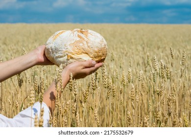 Female Hands Holding Home Baked Bread Loaf Above Ripe Wheat Field. World Food Security Concept. 