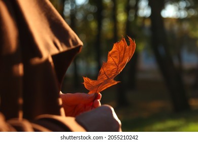 Female Hands Holding Oak Tree Leaf. Bright Stylish Woman In Orange Coat Walking In October Park. Dream Autumn. Peace Lifestyle, New Changes.  Sunlight In Fall Park Or Forest. Love Nature Concept.