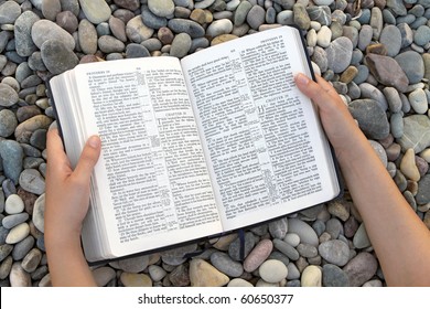 Female Hands Holding Open Bible