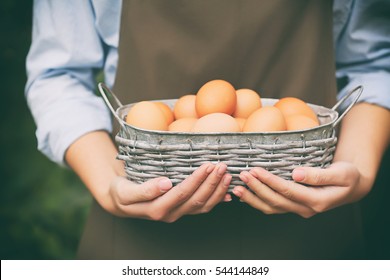 Female Hands Holding Raw Eggs In Basket, Closeup