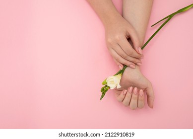 Female Hands Holding White Exotic Flower Pink Background