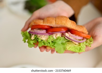 Female Hands Holding A Yummy Healthy Chicken Croissant With Fresh Vegetables And Special Sauce.