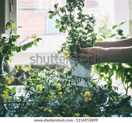 Similar – Hands make bouquet in vase