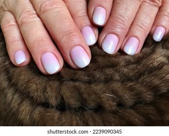Female Hands and Manicure Gradient Nails White  Lilac Coloring 