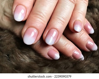 Female Hands and Manicure Gradient Nails White  Pink Coloring 
