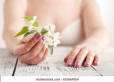 Female hands with manicure holding an apple tree flower. Apple or sakura spring blossom. - Powered by Shutterstock