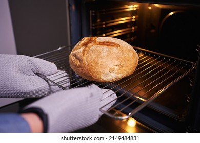 female hands in mittens take out freshly baked bread from an open oven