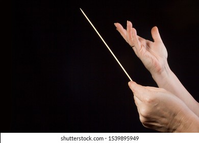 Female Hands Of An Orchestra Conductor On A Black Background