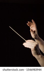 Female Hands Of An Orchestra Conductor On A Black Background