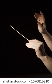 Female Hands Of An Orchestra Conductor On A Black Background